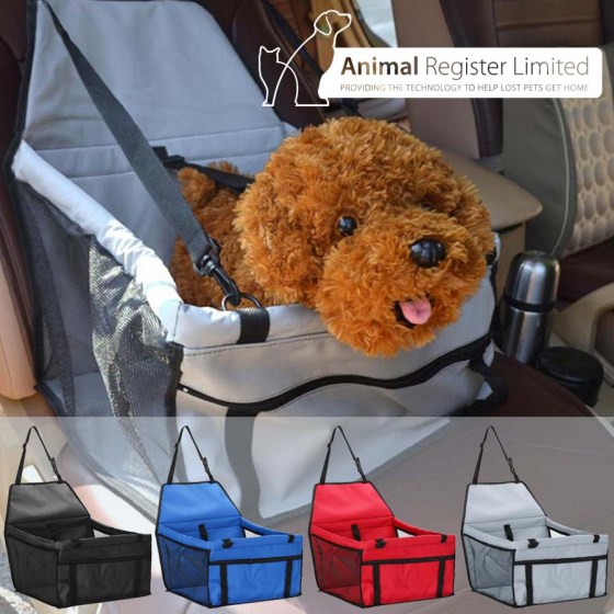 petcarrier-car1